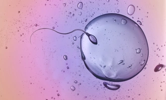 fertility journey