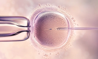 fertility journey