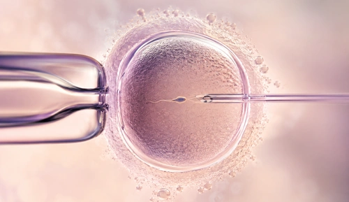 fertility journey