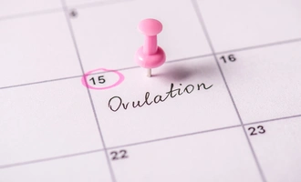 fertility journey